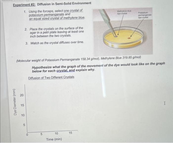 Solved Experiment #2: Diffusion in Semi-Solid Environment 1. | Chegg.com