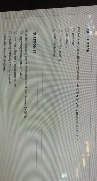 Solved QUESTION 16 The Extracellular Matrix Plays A Role In Chegg