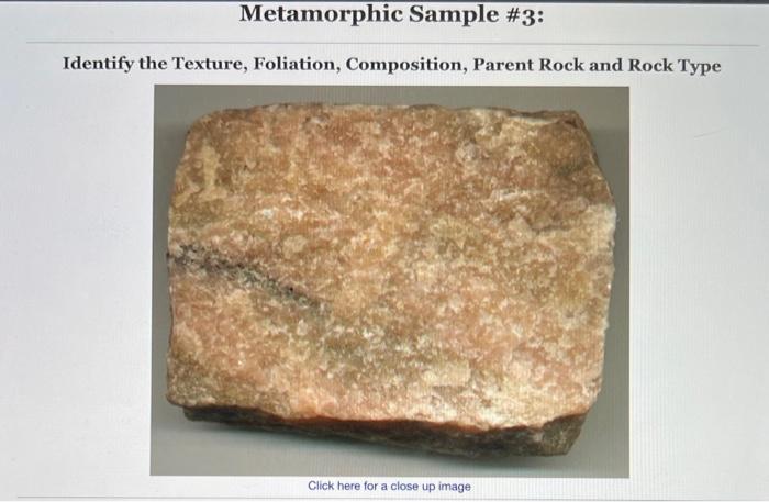 and Protolith Activity 7.4 Hand Sample Analysis, | Chegg.com