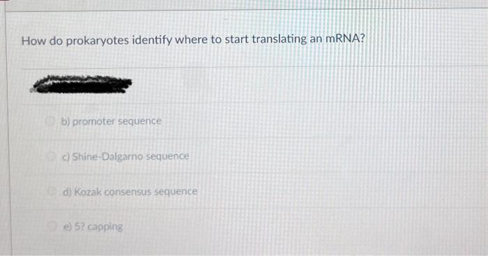 Solved What Is A Step Of Rho Independent Termination? A) The 