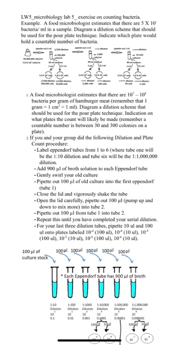 LW5_microbiology lab 5_ exercise on counting | Chegg.com