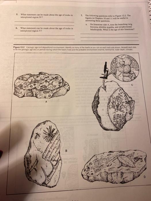 5. What statement can be made about the age of rocks | Chegg.com