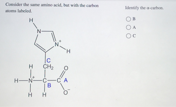 Solved Consider the amino acid shown. Three functional | Chegg.com