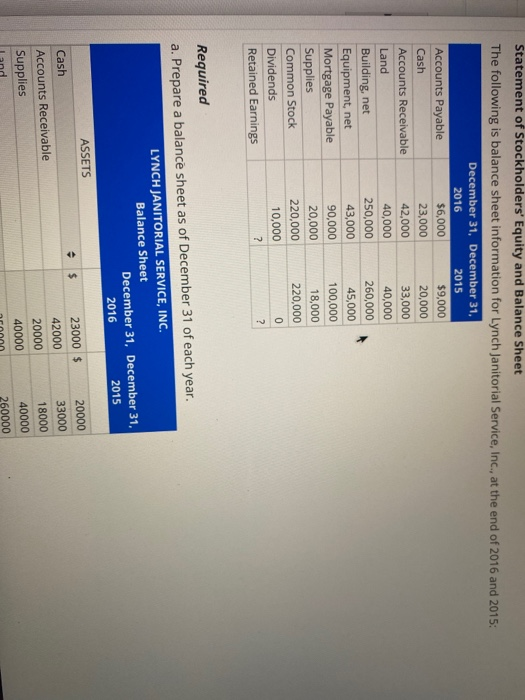 solved-statement-of-stockholders-equity-and-balance-sheet-chegg