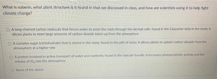 Solved What is suberin, what plant structure is it found in | Chegg.com