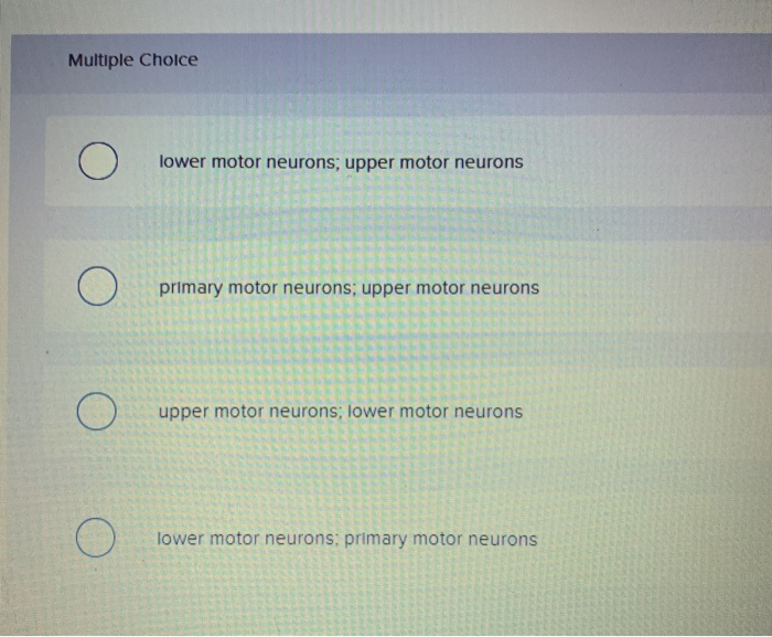 Solved Many upper motor neurons Multiple Choice Ο control | Chegg.com