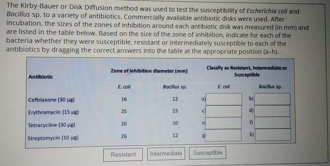 Solved The Kirby-Bauer or Disk Diffusion method was used to | Chegg.com