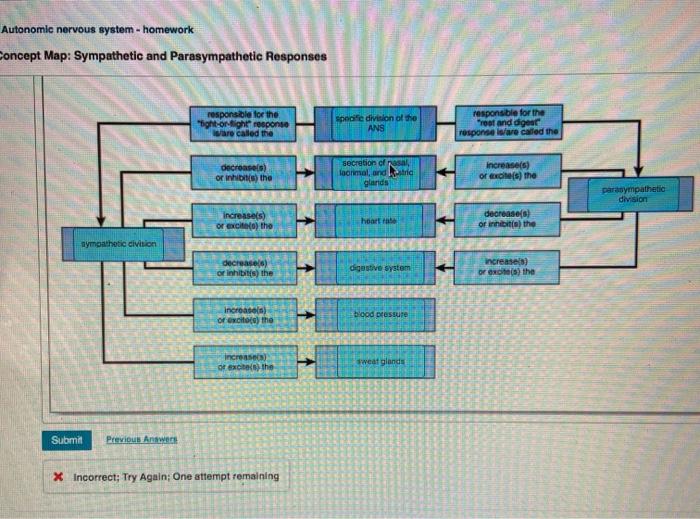 Solved Concept Map Sympathetic and Parasympathetic