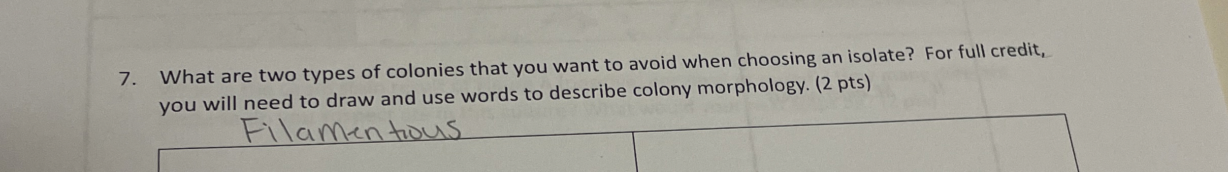 Solved What are two types of colonies that you want to avoid | Chegg.com