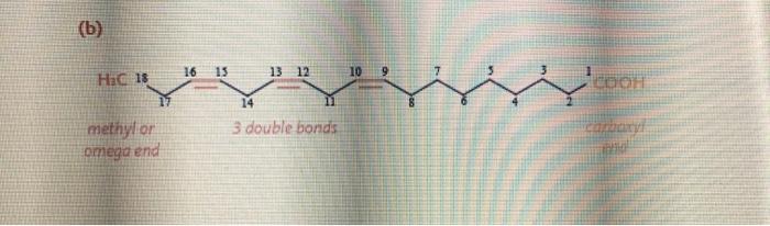 Solved Draw the structure of Linolenic acid and label it | Chegg.com