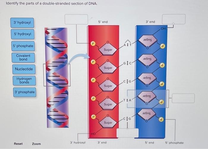 student submitted image, transcription available below