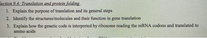 Solved Section 9.4. Translation and protein folding 1. | Chegg.com
