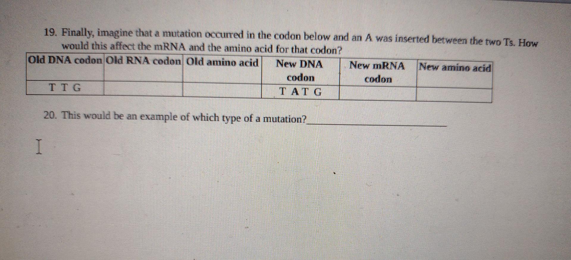 Solved 19. Finally, imagine that a mutation occurred in the | Chegg.com