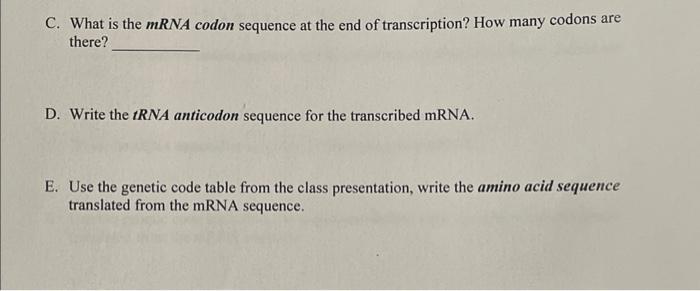 Solved C. What is the mRNA codon sequence at the end of | Chegg.com