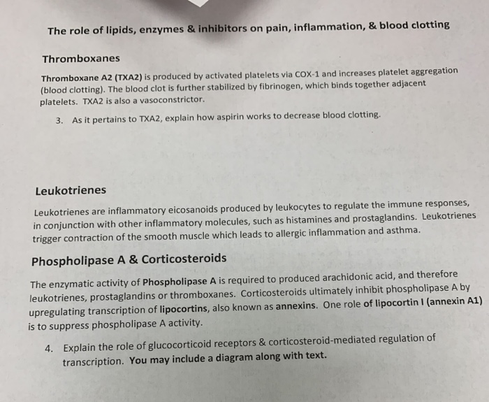 Solved The Role Of Lipids Enzymes Inhibitors On Pain