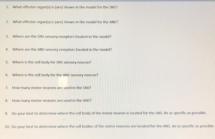 Solved SNS ANS 1. What effector organ(s) is (are) shown in | Chegg.com