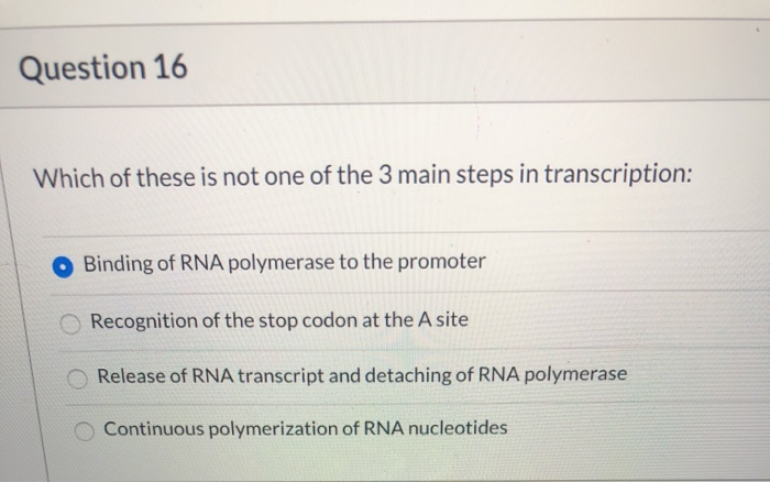 Solved Question 16 Which of these is not one of the 3 main | Chegg.com