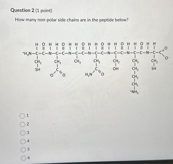 Solved In the following diagram, which letter corresponds to | Chegg.com