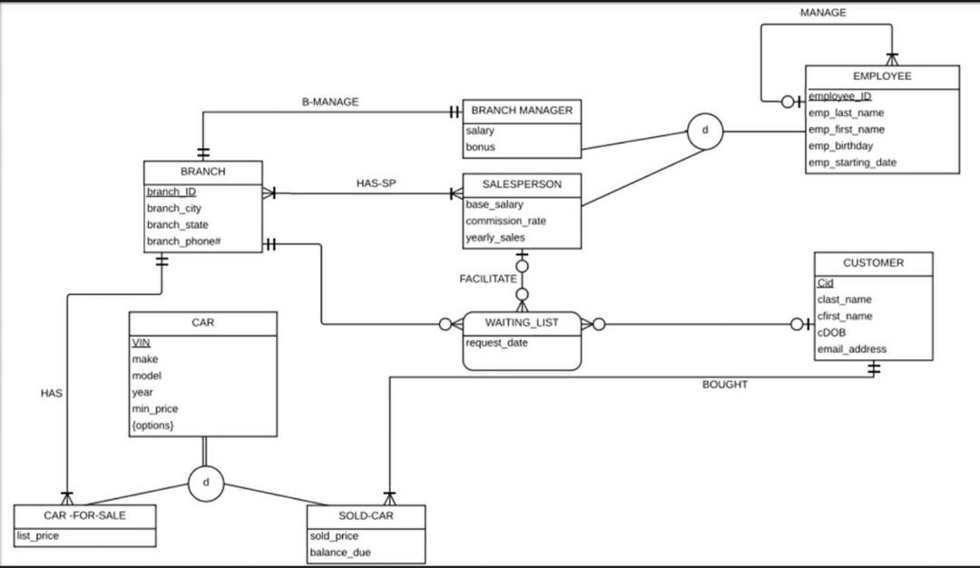 After creating your Database in Oracle SQL developer | Chegg.com