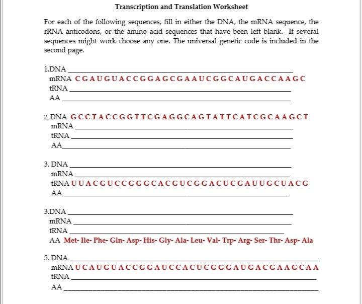 dna transcription translation activity critical thinking exercise answers