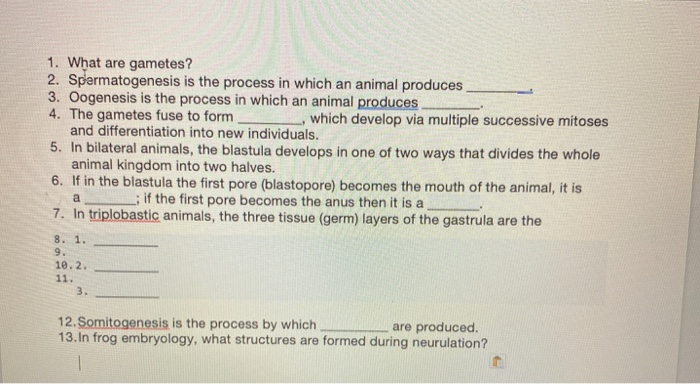 Solved 1. What Are Gametes? 2. Spermatogenesis Is The | Chegg.com