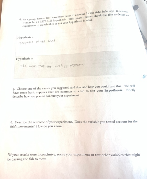 Fortune Teller Fish yet Introduction Can this fish