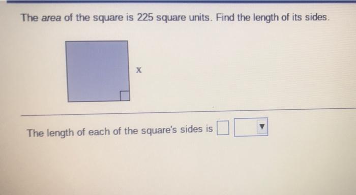 Solved The area of the square is 225 square units. Find the | Chegg.com