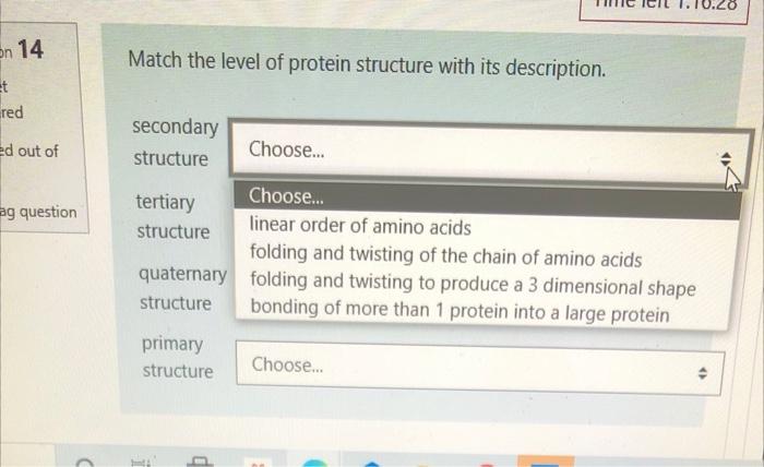 Solved On 14 Match The Level Of Protein Structure With Its | Chegg.com