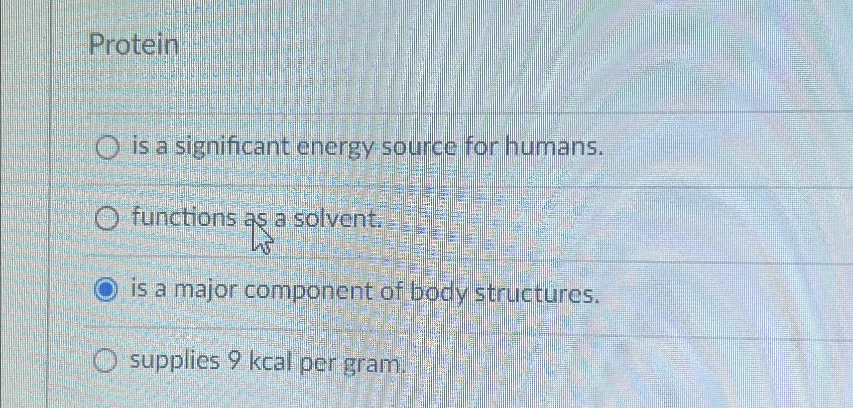 is protein a significant source of energy for the body