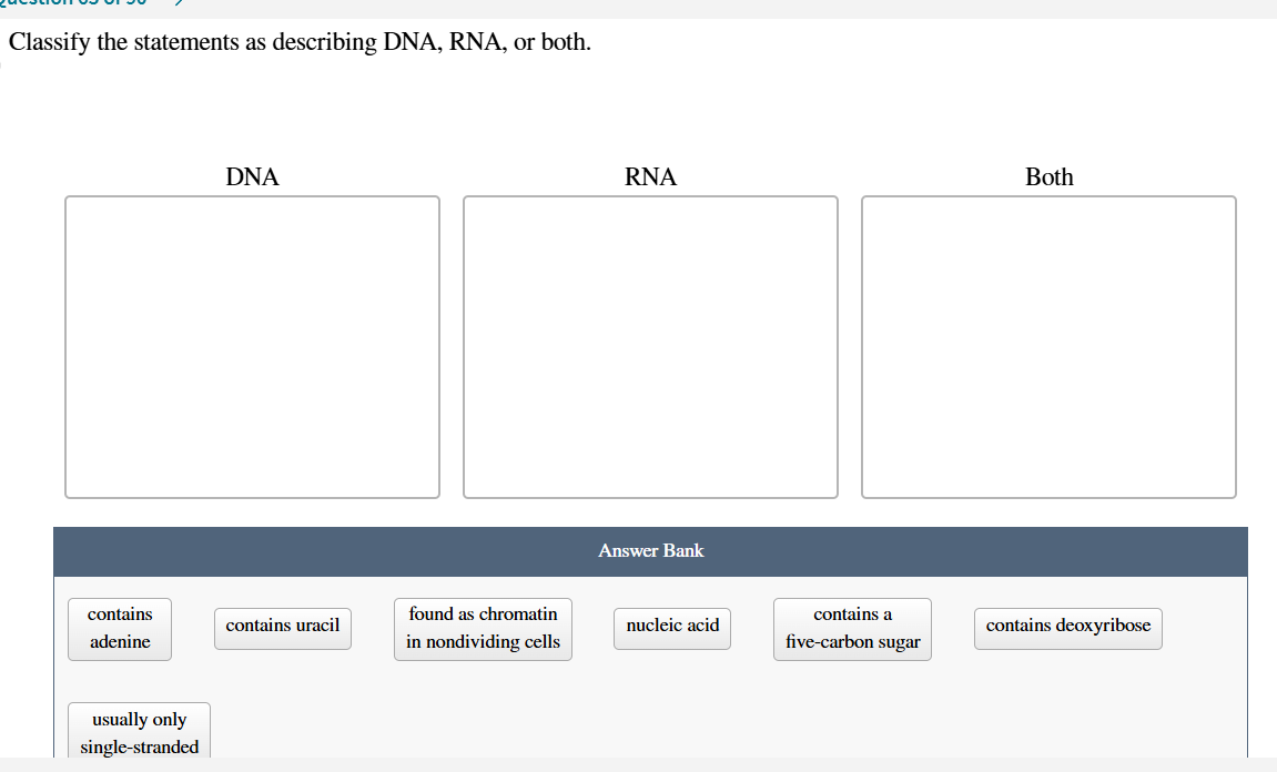 Solved Classify the statements as describing DNA, RNA, or | Chegg.com