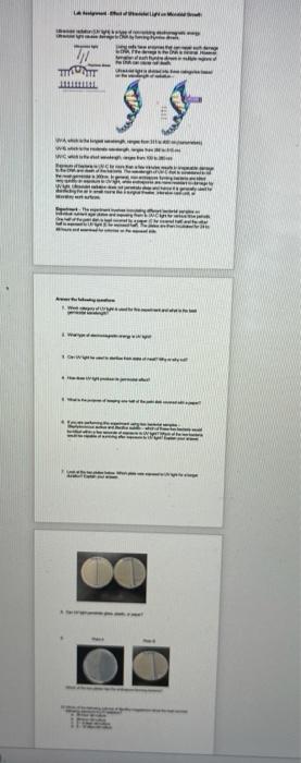 Solved Lab Assignment - Effect of Ultraviolet Light on | Chegg.com