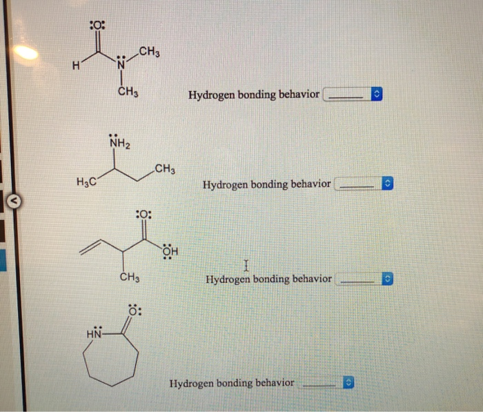 Solved CH H CH3 Hydrogen bonding behavior CH3 H3c Hydrogen | Chegg.com