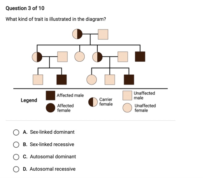Solved Question 3 ﻿of 10What kind of trait is illustrated in | Chegg.com