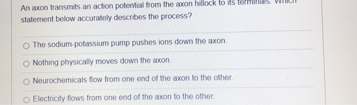 Solved An axon transmits an action potential from the axon | Chegg.com