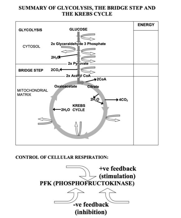 student submitted image, transcription available below