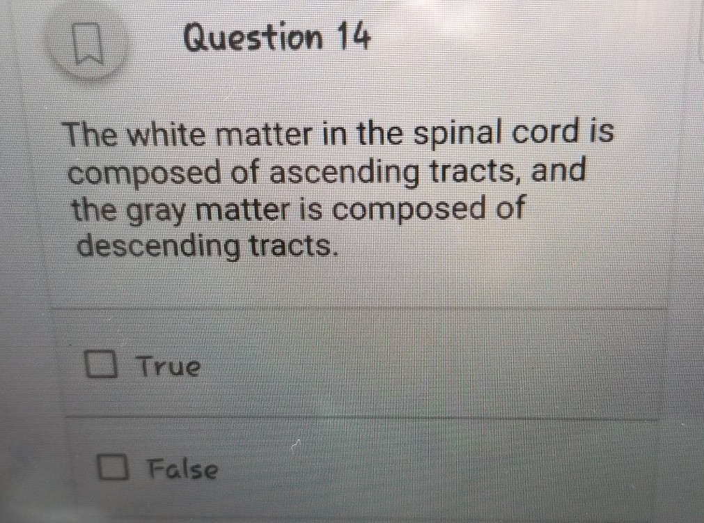 Solved Question 14 The white matter in the spinal cord is | Chegg.com