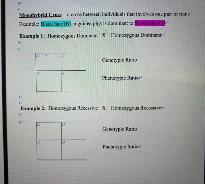 Solved Example 2: Heterozygous * Heteroxygous Dihubrid Cross | Chegg.com