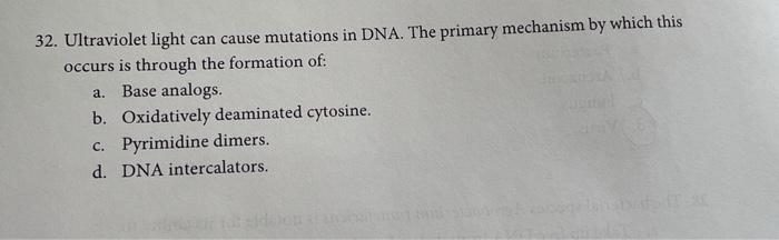 Solved 32. Ultraviolet light can cause mutations in DNA. The | Chegg.com