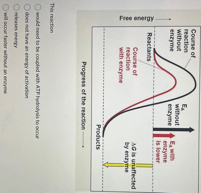 Solved Free energy | Chegg.com