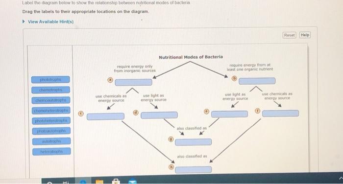 Label The Diagram Below