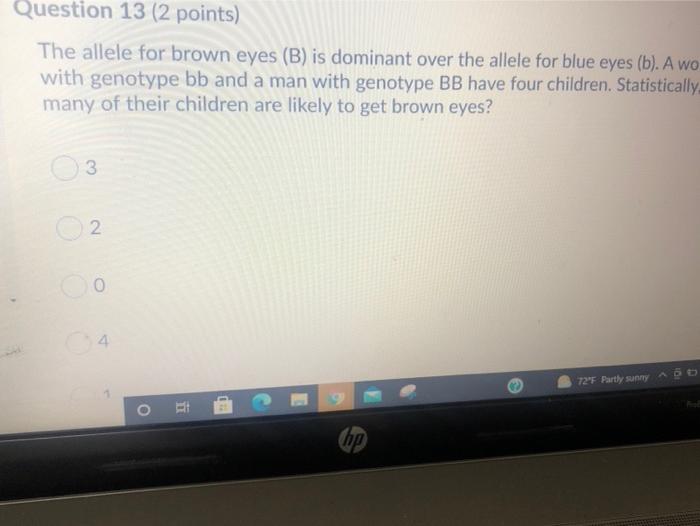 solved question 13 2 points the allele for brown eyes b cheggcom