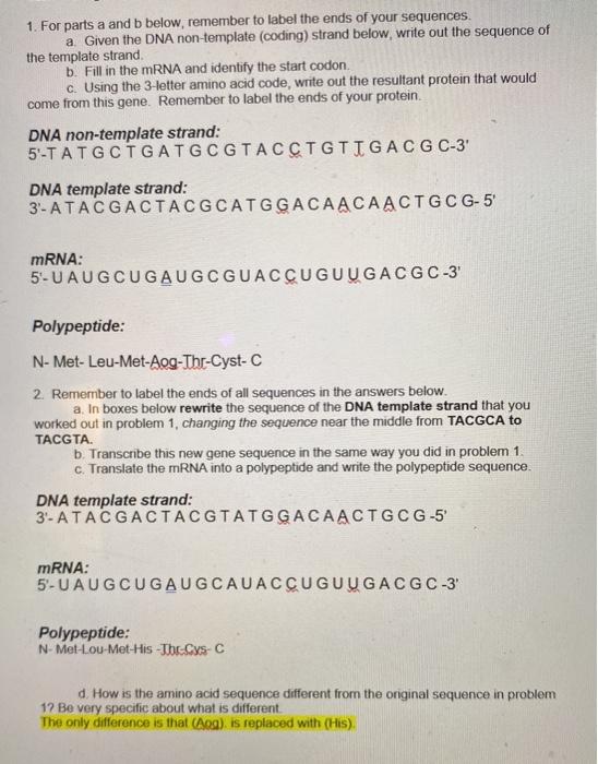 DNA non template strand: 5 TATGCTGATGCGTACCTGTIGAC G Chegg com