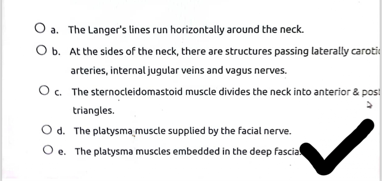 Solved a. ﻿The Langer's lines run horizontally around the | Chegg.com