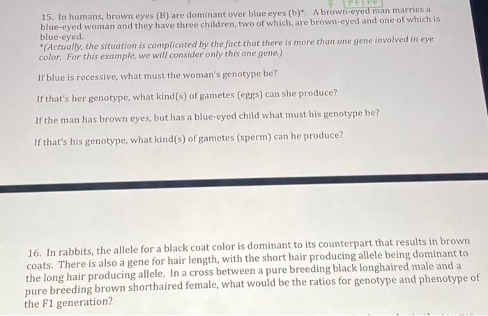 Solved 15 In Humans Brown Eyes B Are Dominant Over Blue 5655