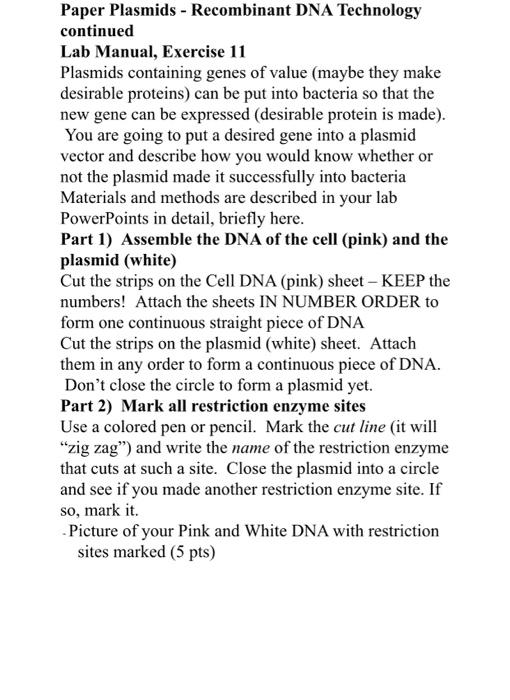 Recombinant paper plasmids lab answers