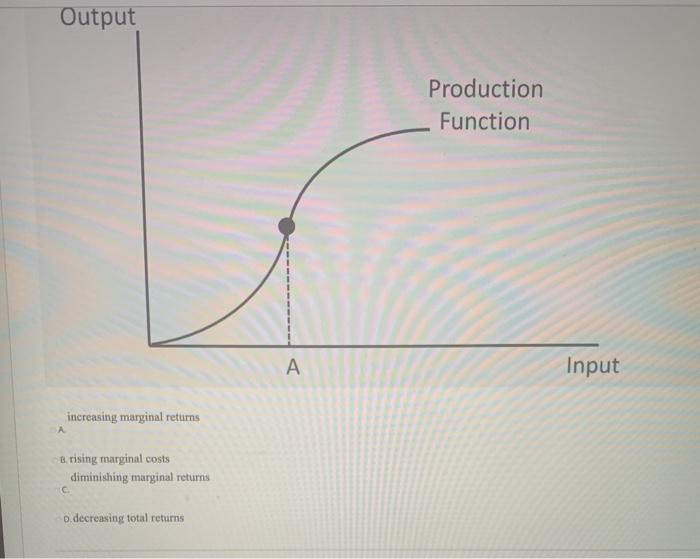 Solved QUESTION 10 onsider the following graph As input | Chegg.com image.