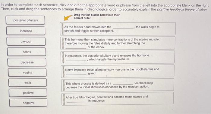 solved-in-order-to-complete-each-sentence-click-and-drag-chegg