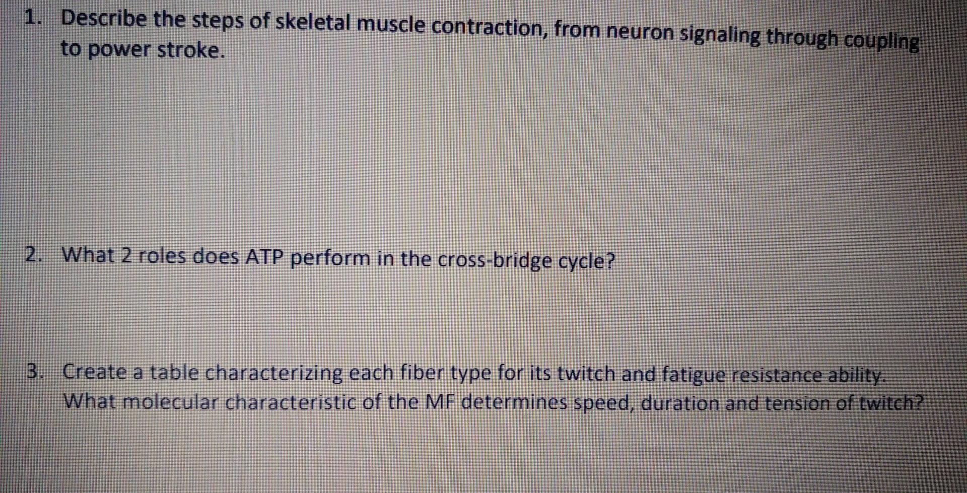 Solved 1. Describe the steps of skeletal muscle contraction, | Chegg.com