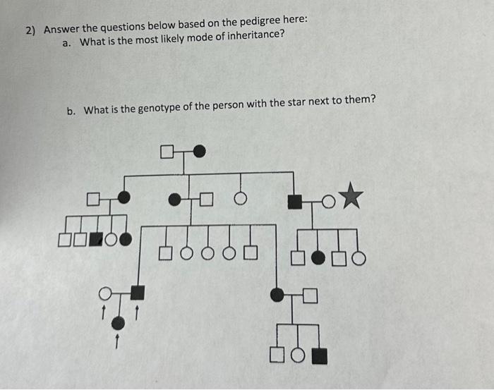 Solved 2) Answer the questions below based on the pedigree | Chegg.com