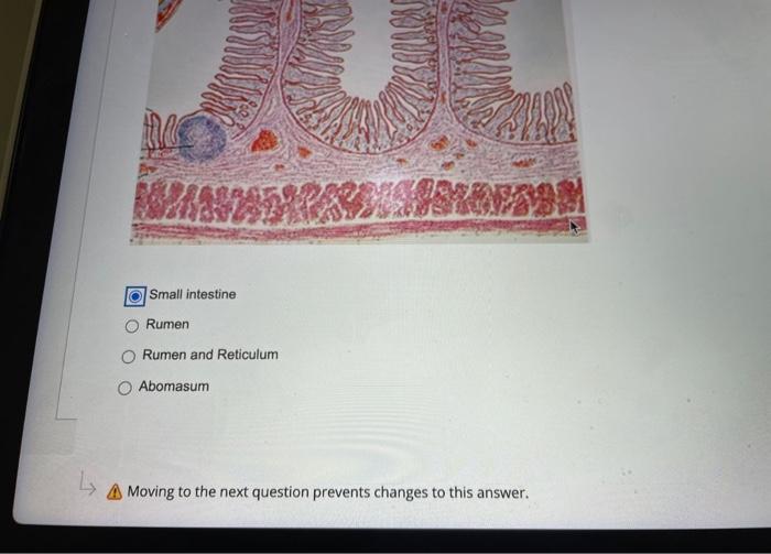 Solved The following structure is found in of the digestive